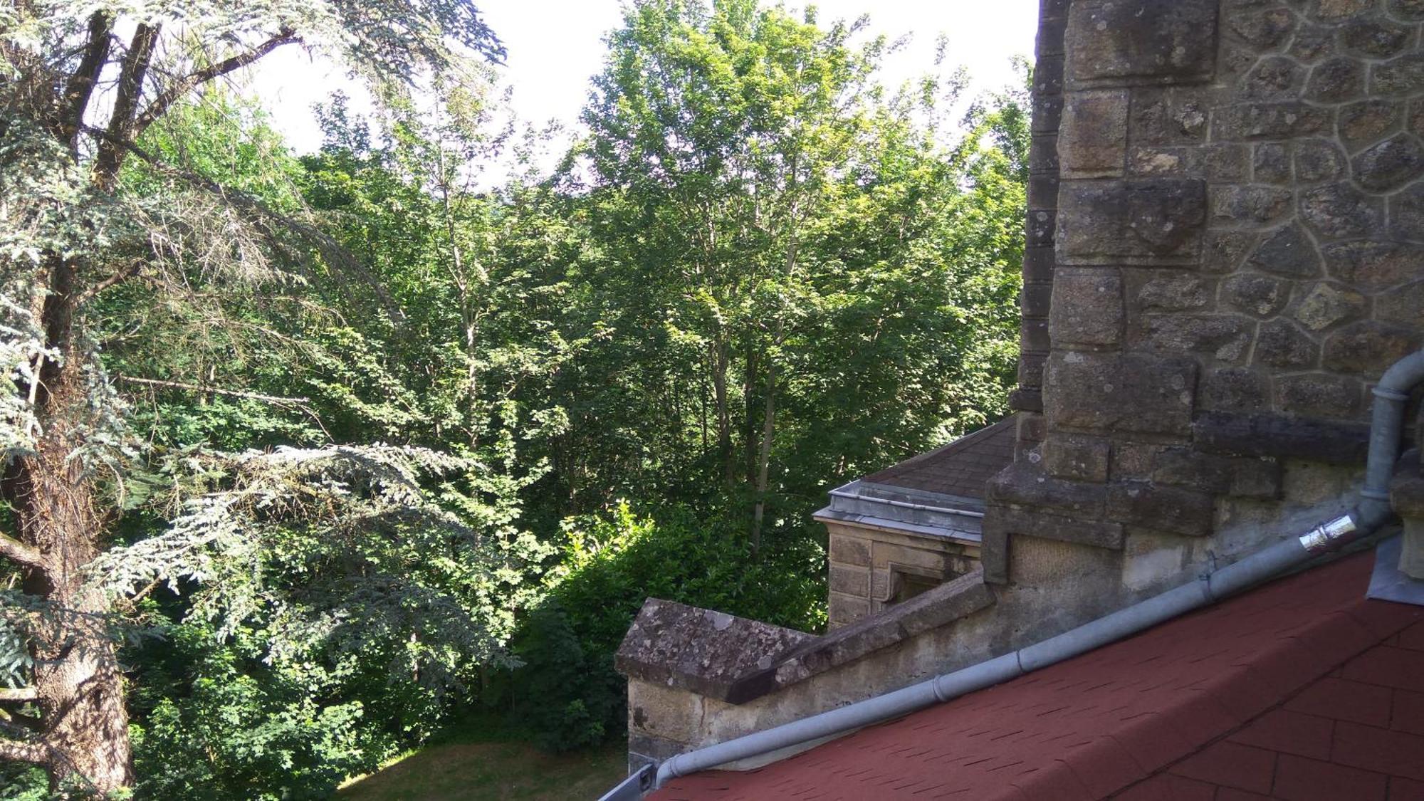 Chambres D'Hotes-Chateau Constant Bessines-sur-Gartempe Room photo